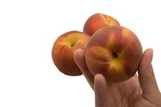 Peach In Hand Royalty Free Stock Image Peach In Hand Royalty Free Stock Image