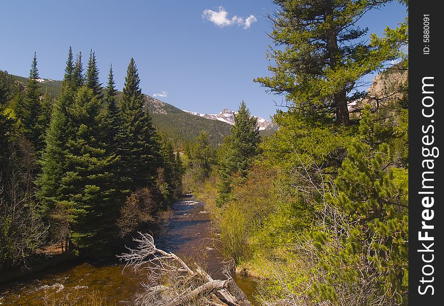 Peak, River, and Forest