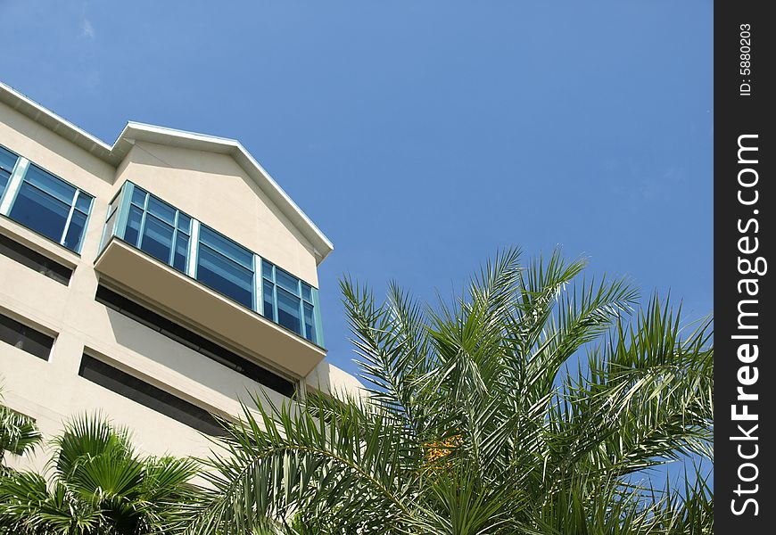 Beach Resort Side With Palm Fronds