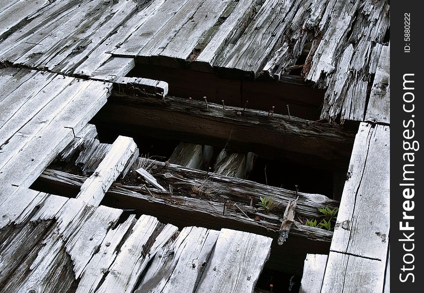 Burnt Timbers on Pier