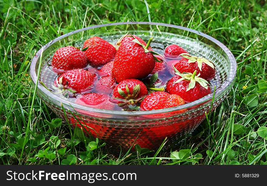 There is dish with strawberries in natural environment (edited in Photoshop). There is dish with strawberries in natural environment (edited in Photoshop)