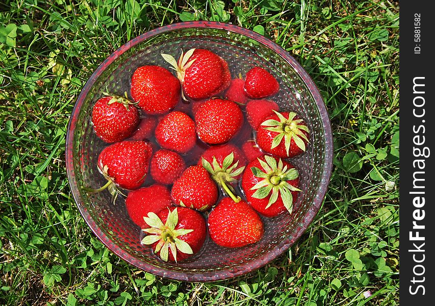 There is dish with strawberries in natural environment (edited in Photoshop). There is dish with strawberries in natural environment (edited in Photoshop)