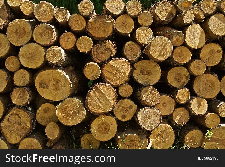 Stock Of Wood