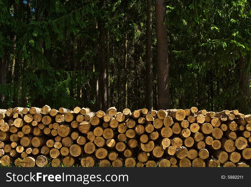 Stock of wood on sunny day