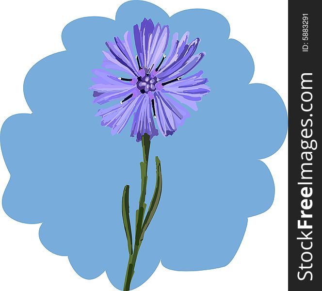 Art. Vector illustration of cornflower