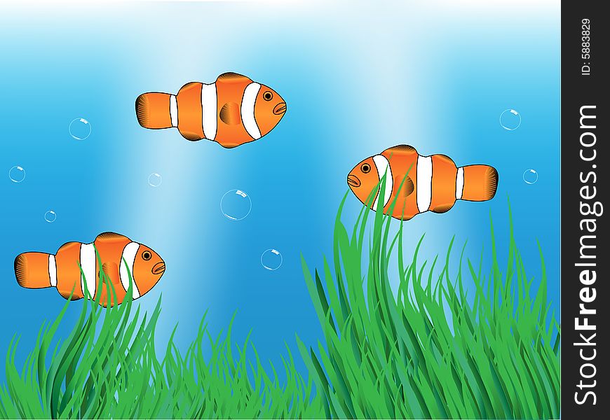 Clownfishes in the sea vector illustration.