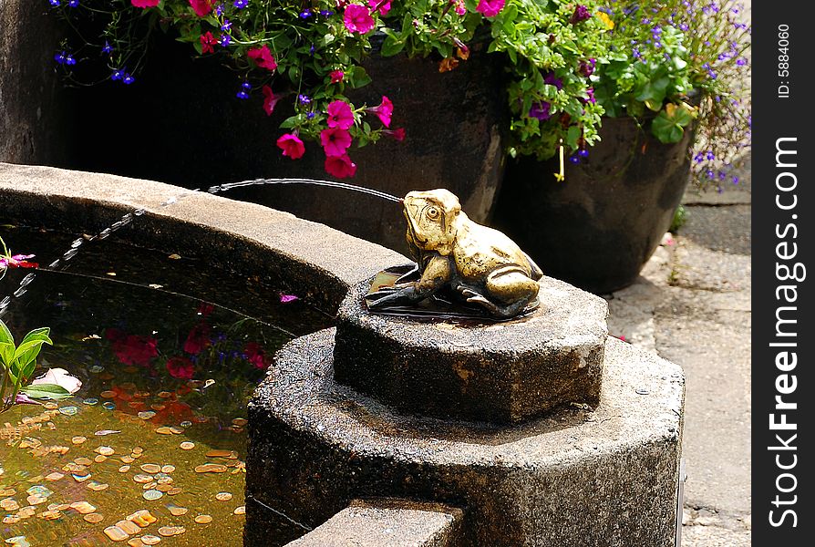 Ornamental frog water fountain in garden. Ornamental frog water fountain in garden