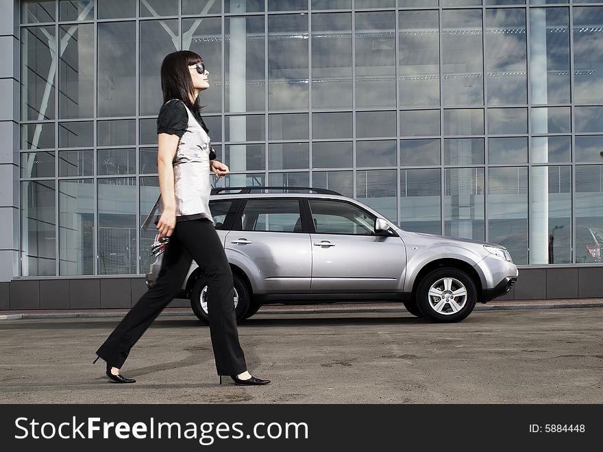 The stylish woman against the car