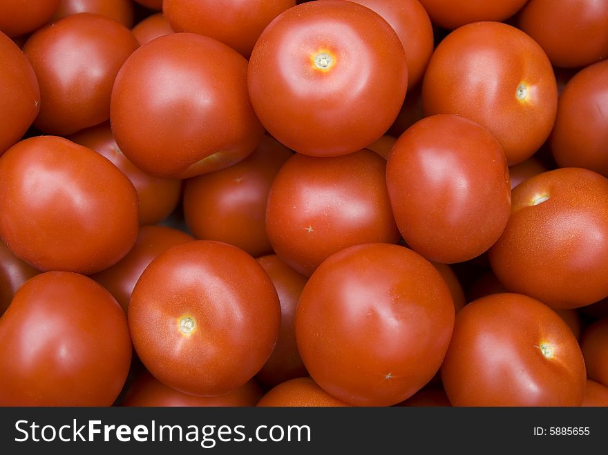 Many red ripe of tomatoes. Many red ripe of tomatoes