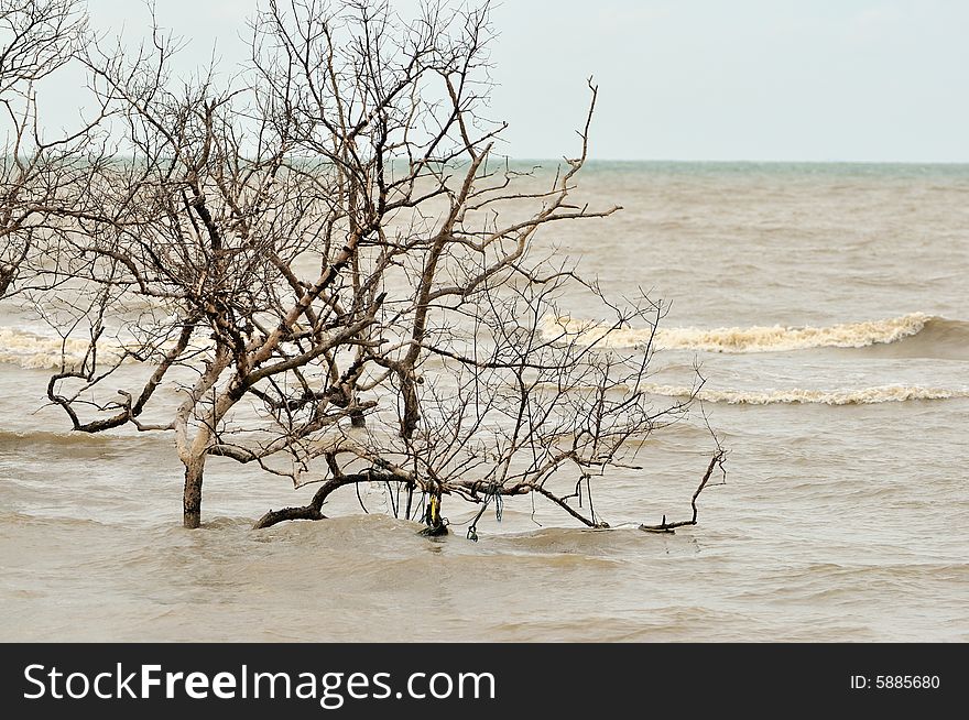 Natural disasters caught on camera. Natural disasters caught on camera