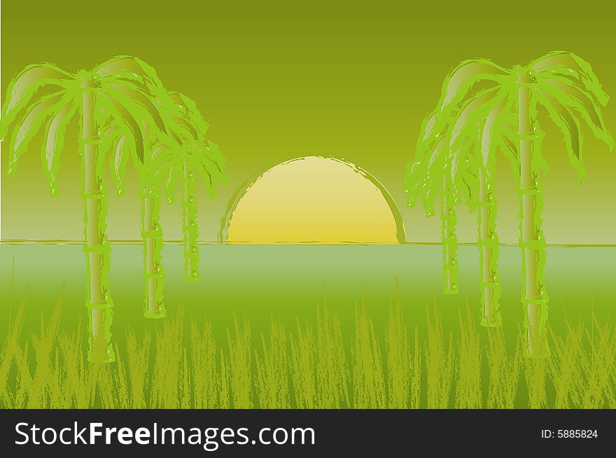 Sunset in jungle is shown in green tones