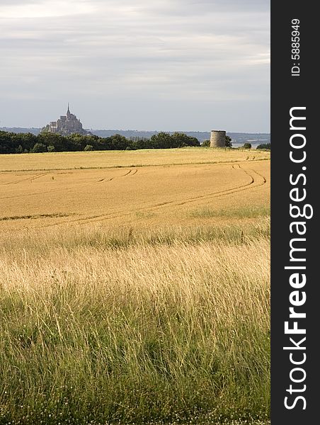 View of le Mont St Michel over a corn field