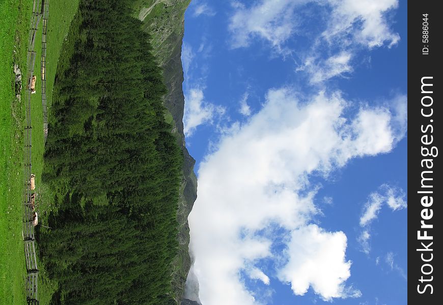 Alpine picture of tirol in summer