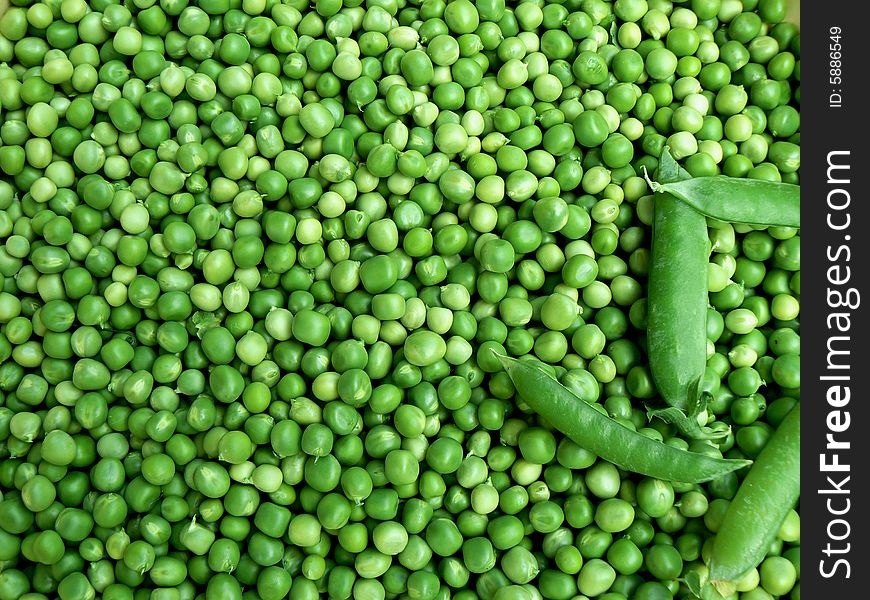 Large harvest of green pea. Large harvest of green pea