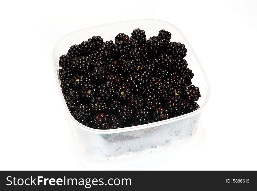 Wild blackberry in a plastic container on white. Wild blackberry in a plastic container on white