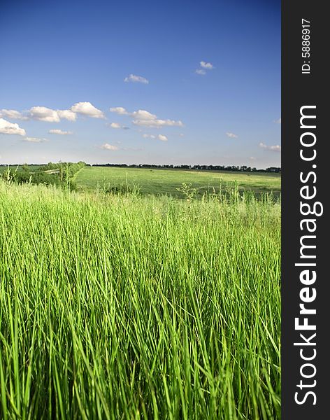 Sky And Grass