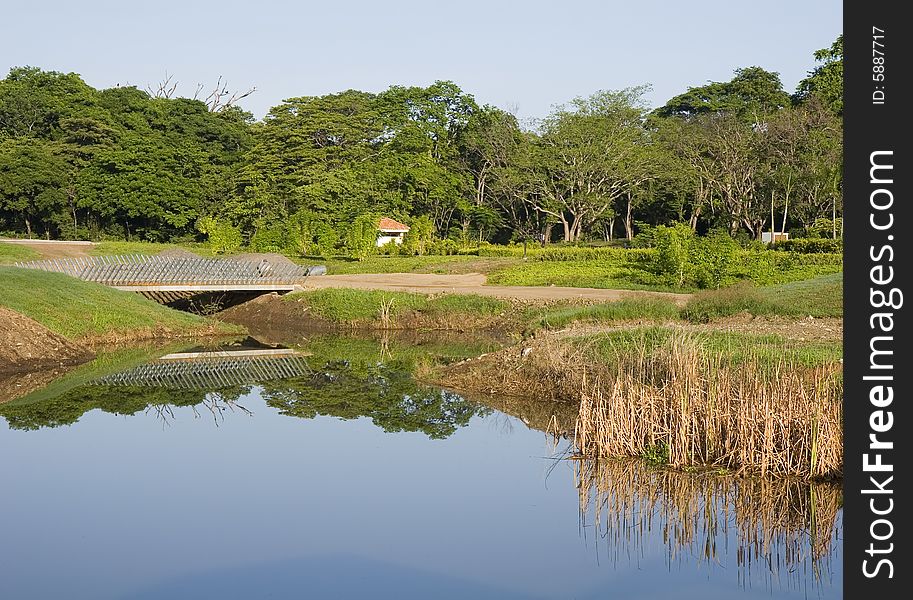 The shore of a lake with reflections in the water. The shore of a lake with reflections in the water