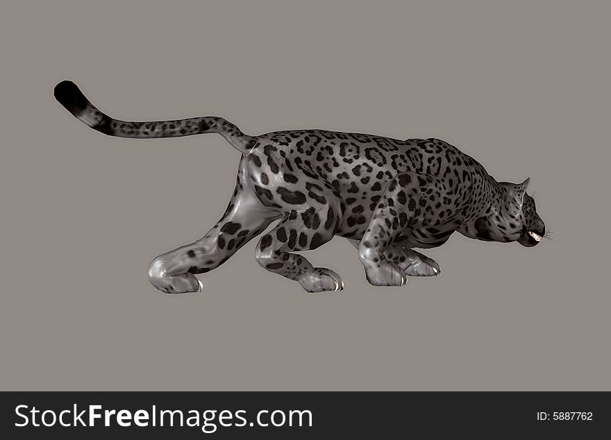 Panther