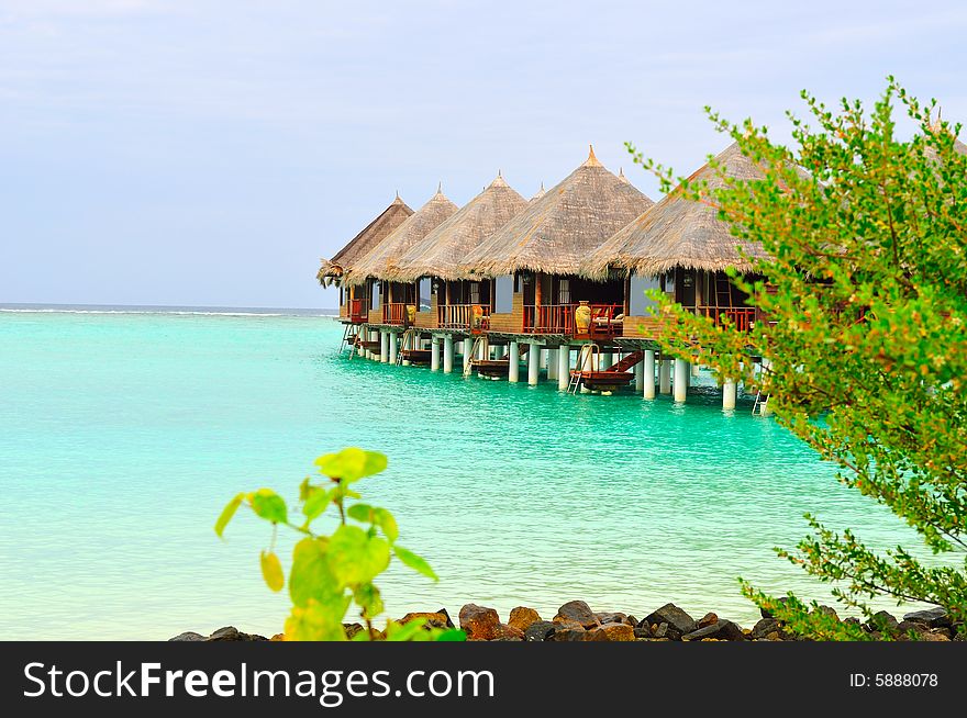 Island of Paradise. White sand beaches with coco-tree and crystal blue water. Maldives. Luxury holidays. Island of Paradise. White sand beaches with coco-tree and crystal blue water. Maldives. Luxury holidays.