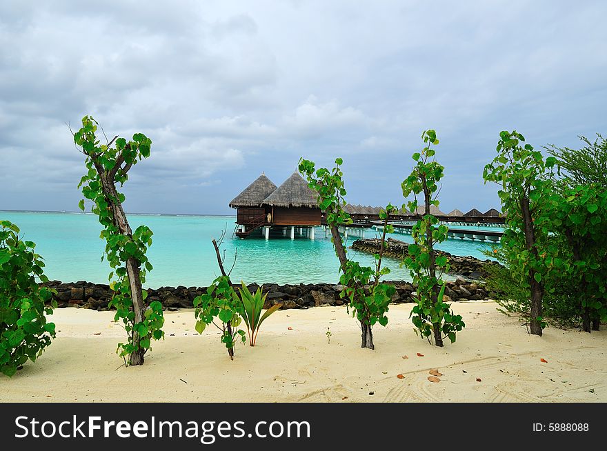 Island of Paradise. White sand beaches with coco-tree and crystal blue water. Maldives. Luxury holidays. Island of Paradise. White sand beaches with coco-tree and crystal blue water. Maldives. Luxury holidays.