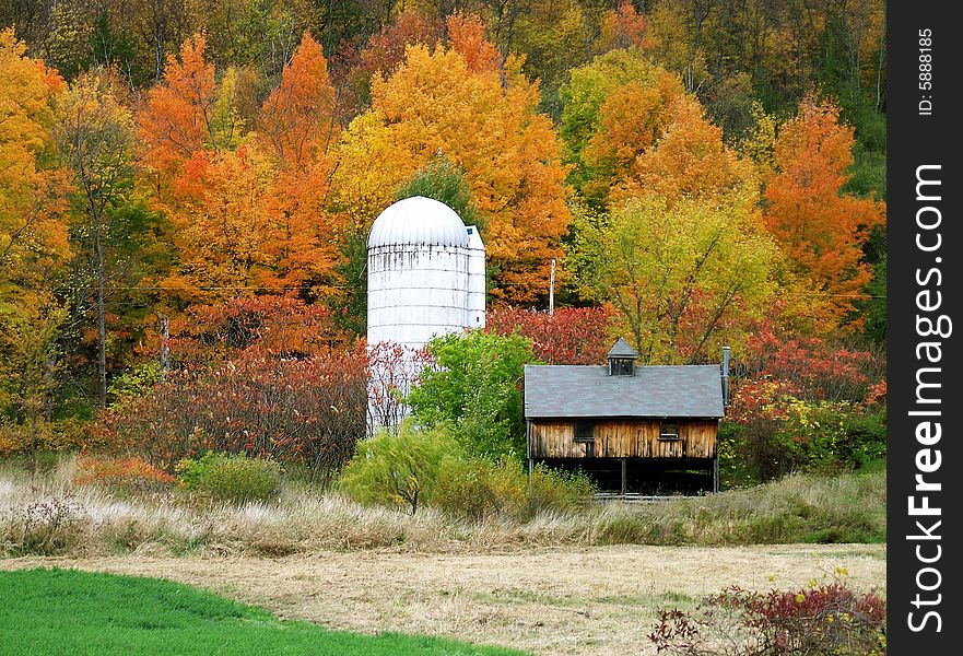 A small little place sits next to a tall silo nestled in
the fall colors of the surrounding trees. A small little place sits next to a tall silo nestled in
the fall colors of the surrounding trees.