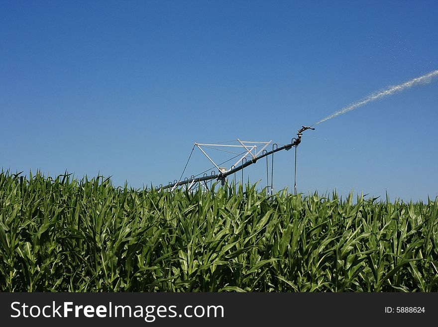 Pivotal irrigation system spraying out water in field of corn on hot summer day in the midwest. Pivotal irrigation system spraying out water in field of corn on hot summer day in the midwest