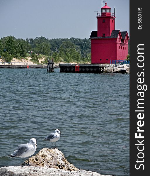 Pair of sea gulls and red lighthouse in the harbor. Pair of sea gulls and red lighthouse in the harbor.