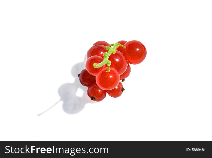 Ripe red currants isolated on white background. Ripe red currants isolated on white background