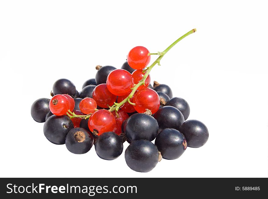 Red and black currants berries isolated on white. Red and black currants berries isolated on white