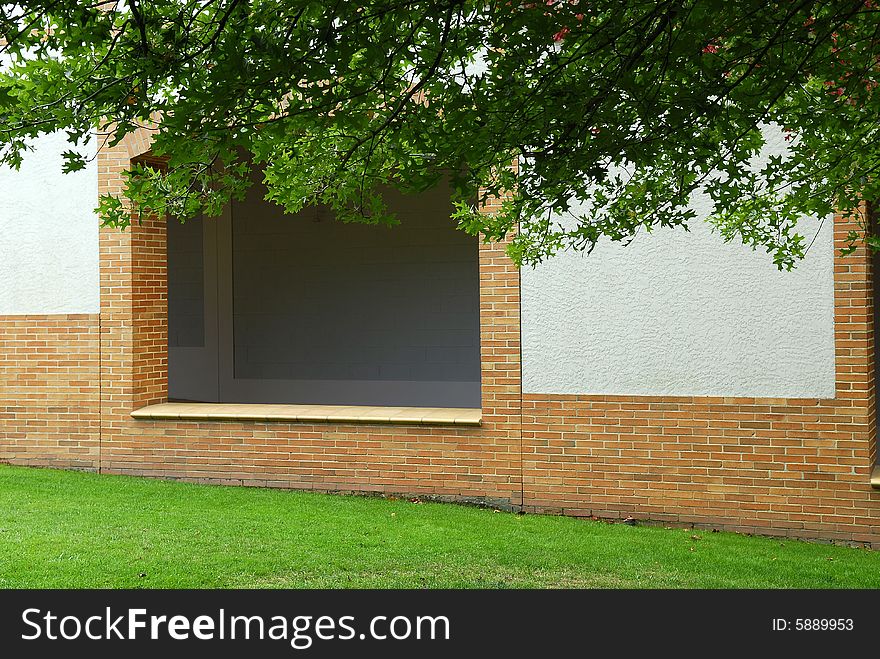 Vineyard Garden with White Wall and Tree