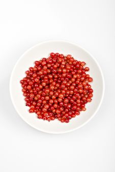 Berries In A Bowl Royalty Free Stock Photography Berries In A Bowl Royalty Free Stock Photography