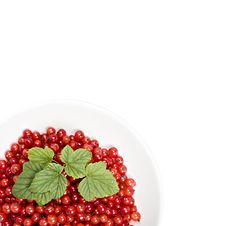 Red Berries In A Isolated Bowl Royalty Free Stock Photo Red Berries In A Isolated Bowl Royalty Free Stock Photo