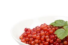 Berries In A Bowl Stock Images Berries In A Bowl Stock Images