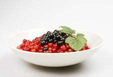 Close Shot Of Berries In A Bowl Stock Image Close Shot Of Berries In A Bowl Stock Image