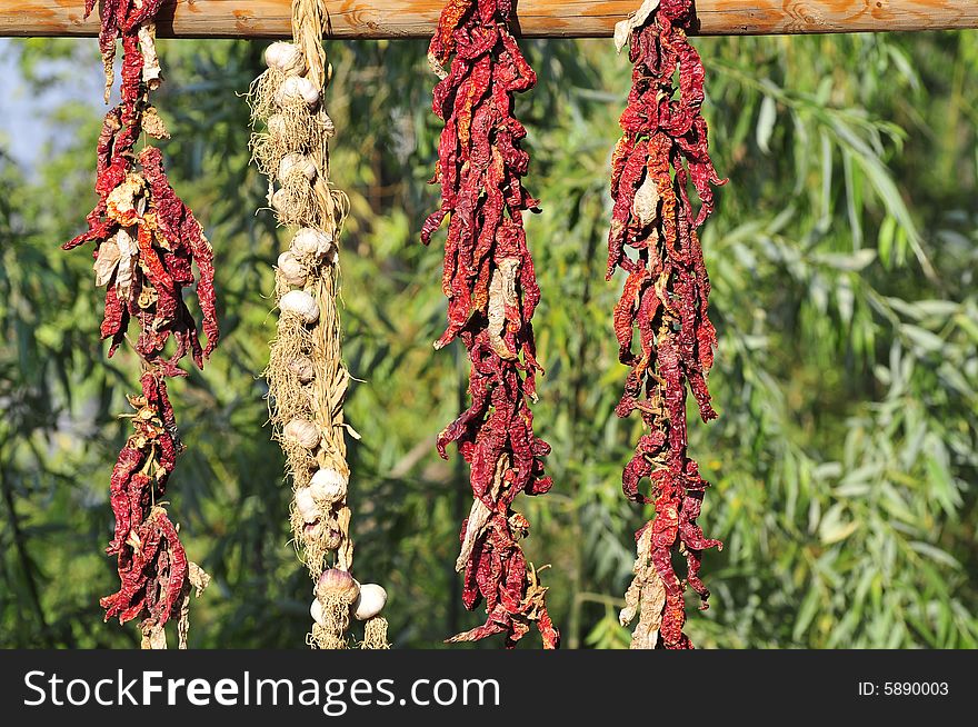 Capsicum,  sundried capsicum in the yard