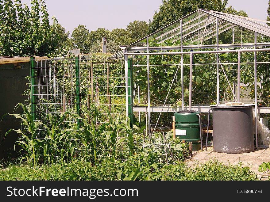 An allotment garden with a greenhouse