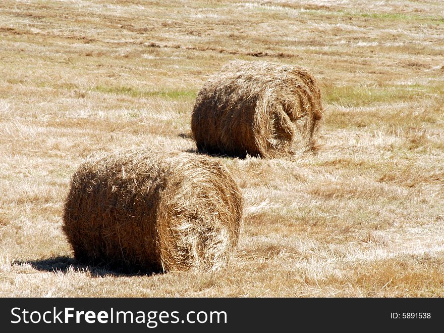 Hay field in summer somewhere in Polish village