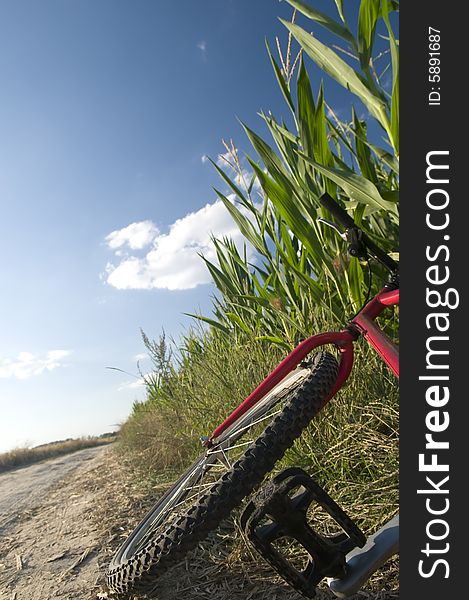 Cyckling in the countryside with blue sky. Cyckling in the countryside with blue sky