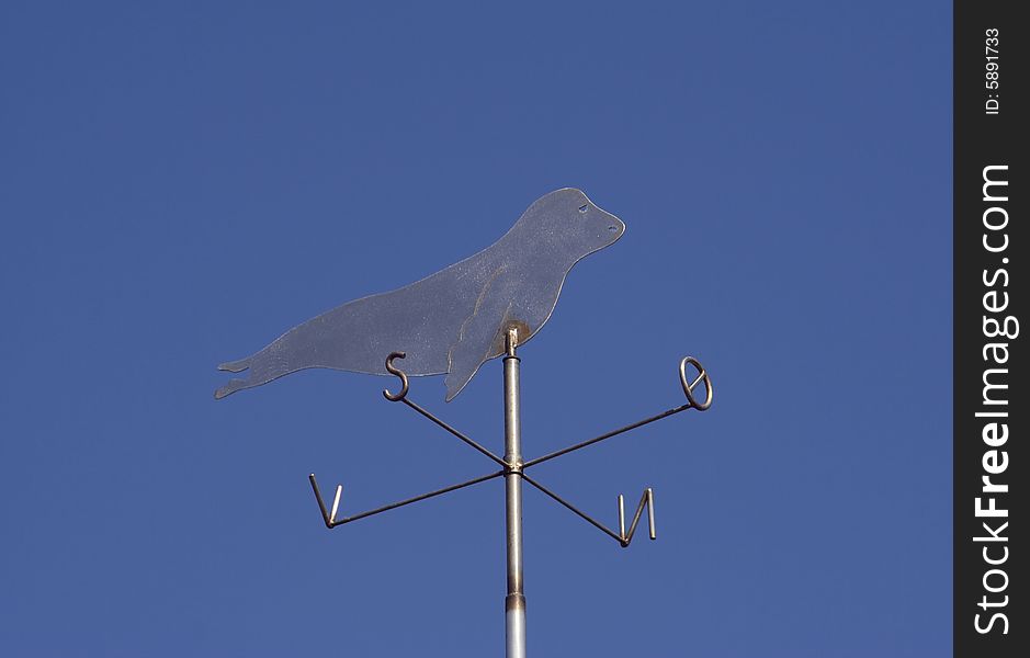 Weather vane - seal - against the blue sky