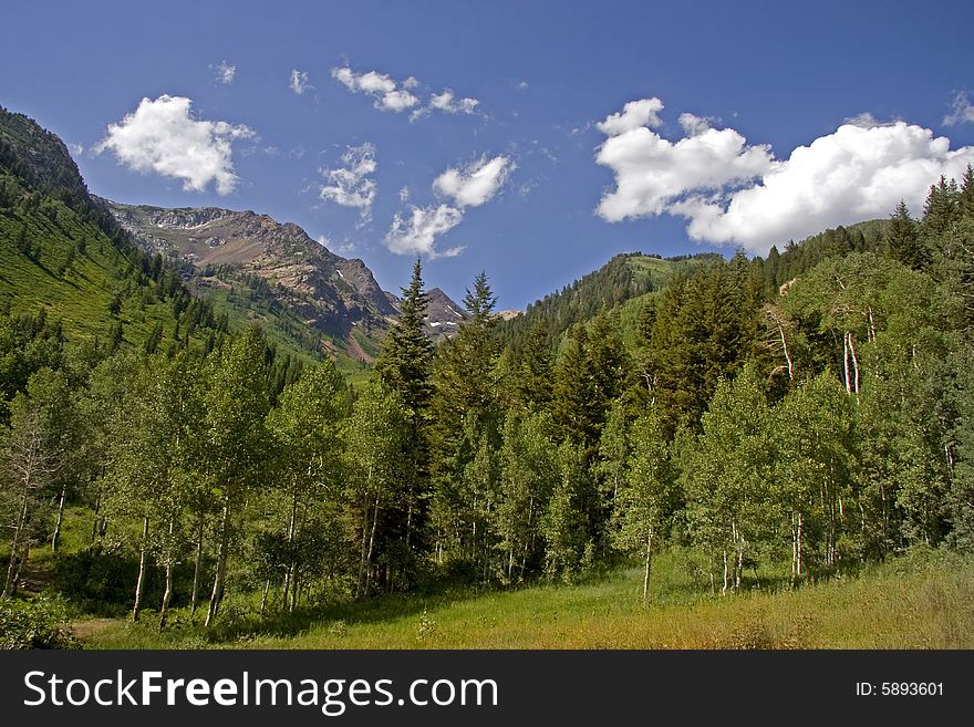 Rocky Mountains in the summer with blue skys and clouds. Rocky Mountains in the summer with blue skys and clouds