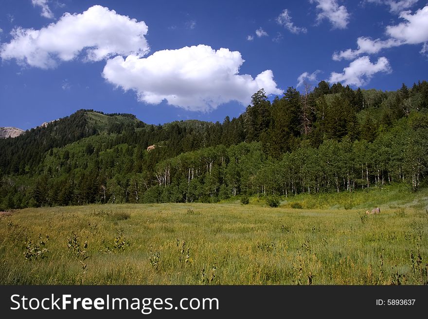 Mountain meadow in the summer with clouds