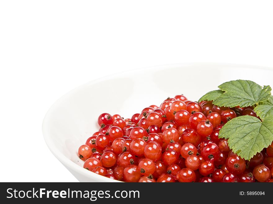 Redcurrant berries in a isolated bowl. Redcurrant berries in a isolated bowl