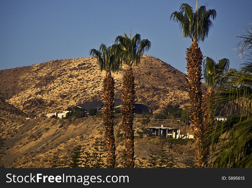 This is a picture of house on hills framed by palm trees in Palm Springs, California. This is a picture of house on hills framed by palm trees in Palm Springs, California.