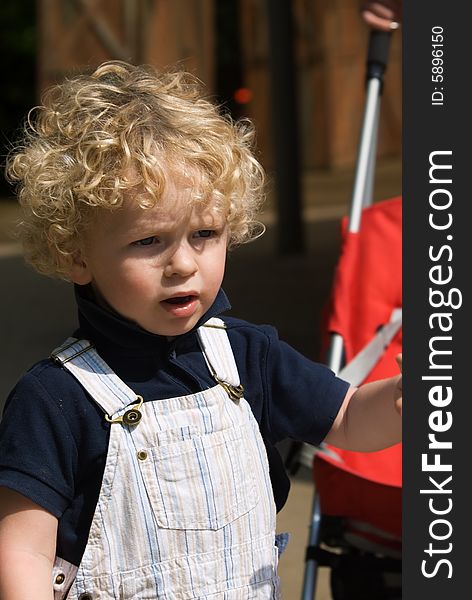 Cute young boy in summer