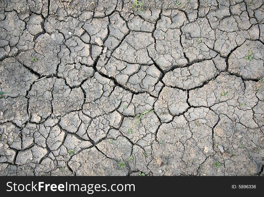 Dry ground with cracks and grass