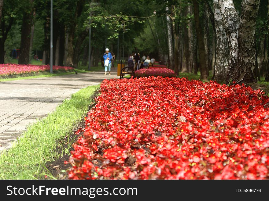 Avenue with red colors in city park