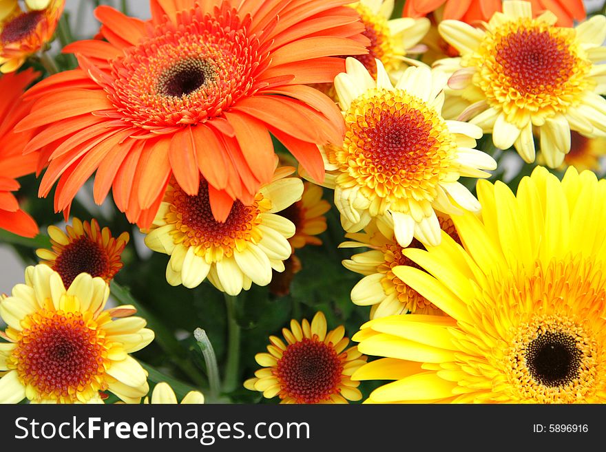 Bouquet of yellow chrysanthemums and red gerberas. Bouquet of yellow chrysanthemums and red gerberas