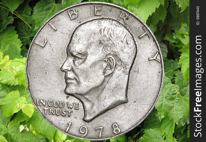 View of American coin of green foliage. View of American coin of green foliage