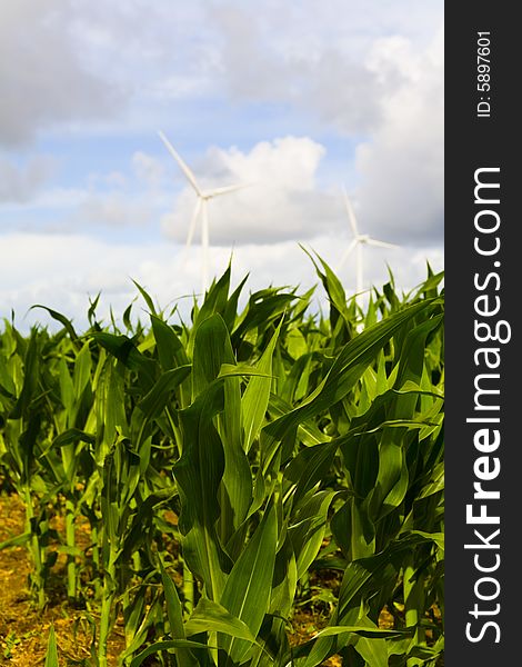 Windmill in wide field in brittany in france