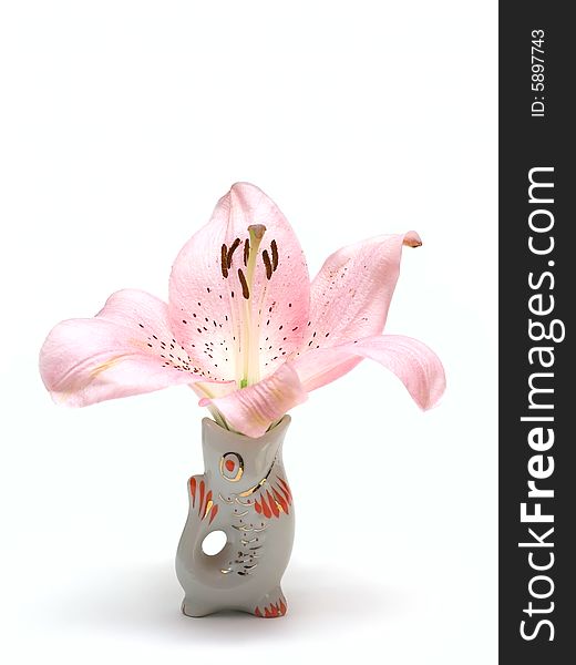 Flower in fish vase isolated on white